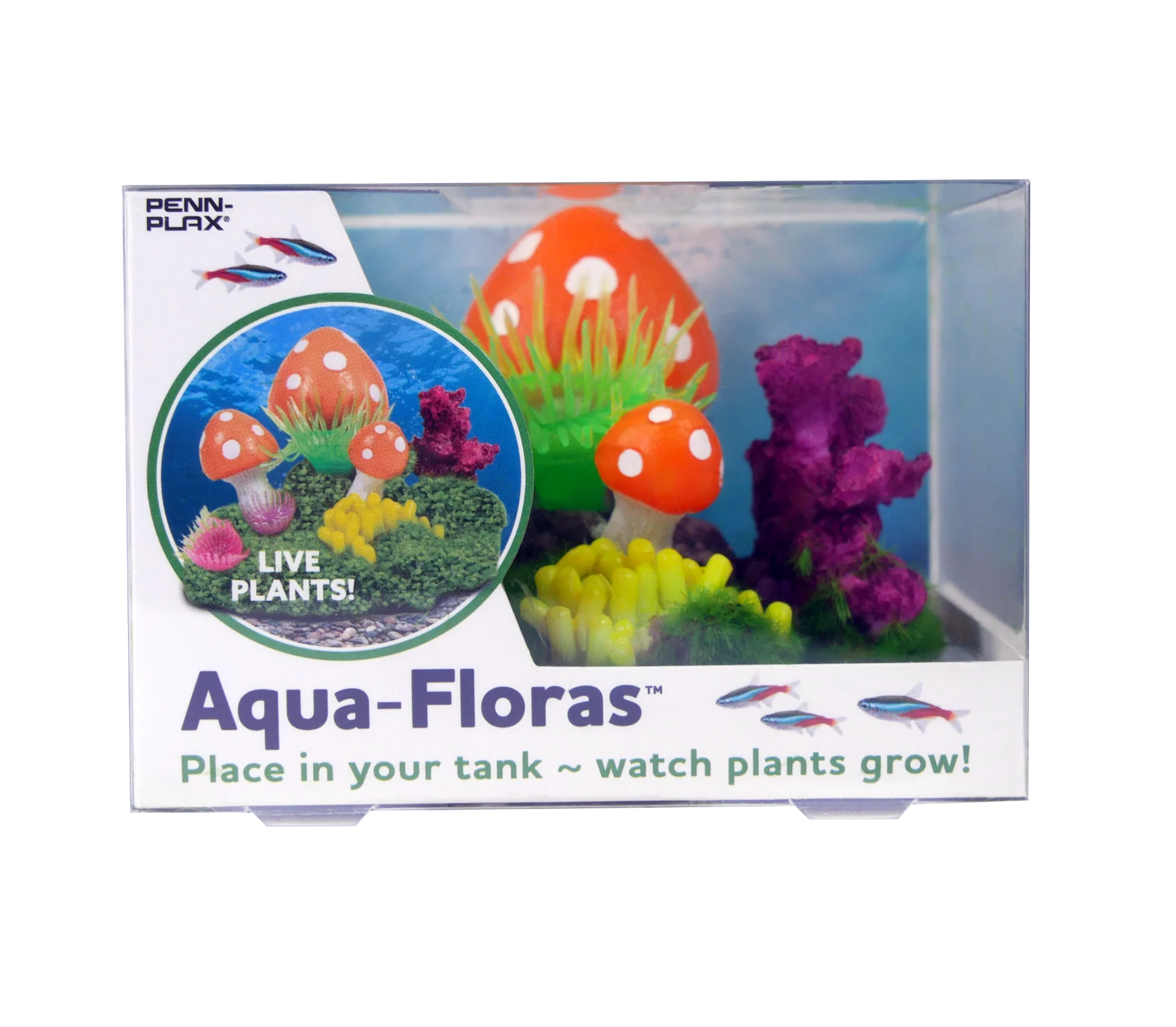 Penn Plax Tide & Treasure aqua-floras Mushroom Patch Medium Grows LIVE Plants - Image 1