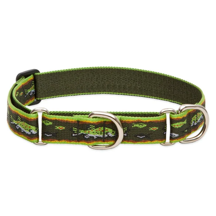 Lupine Pet Dog 1 In Wide 15-22 In Martingale Collar Original Designs Brook Trout - Image 1