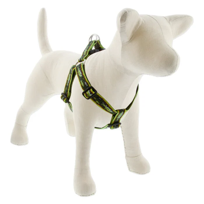 Lupine Pet Dog 1 In Wide 19-28 In Step  In Harness Original Designs Brook Trout - Image 1