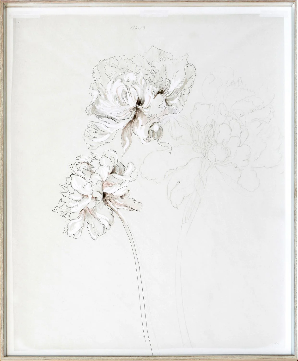 Peony Study - Image 3