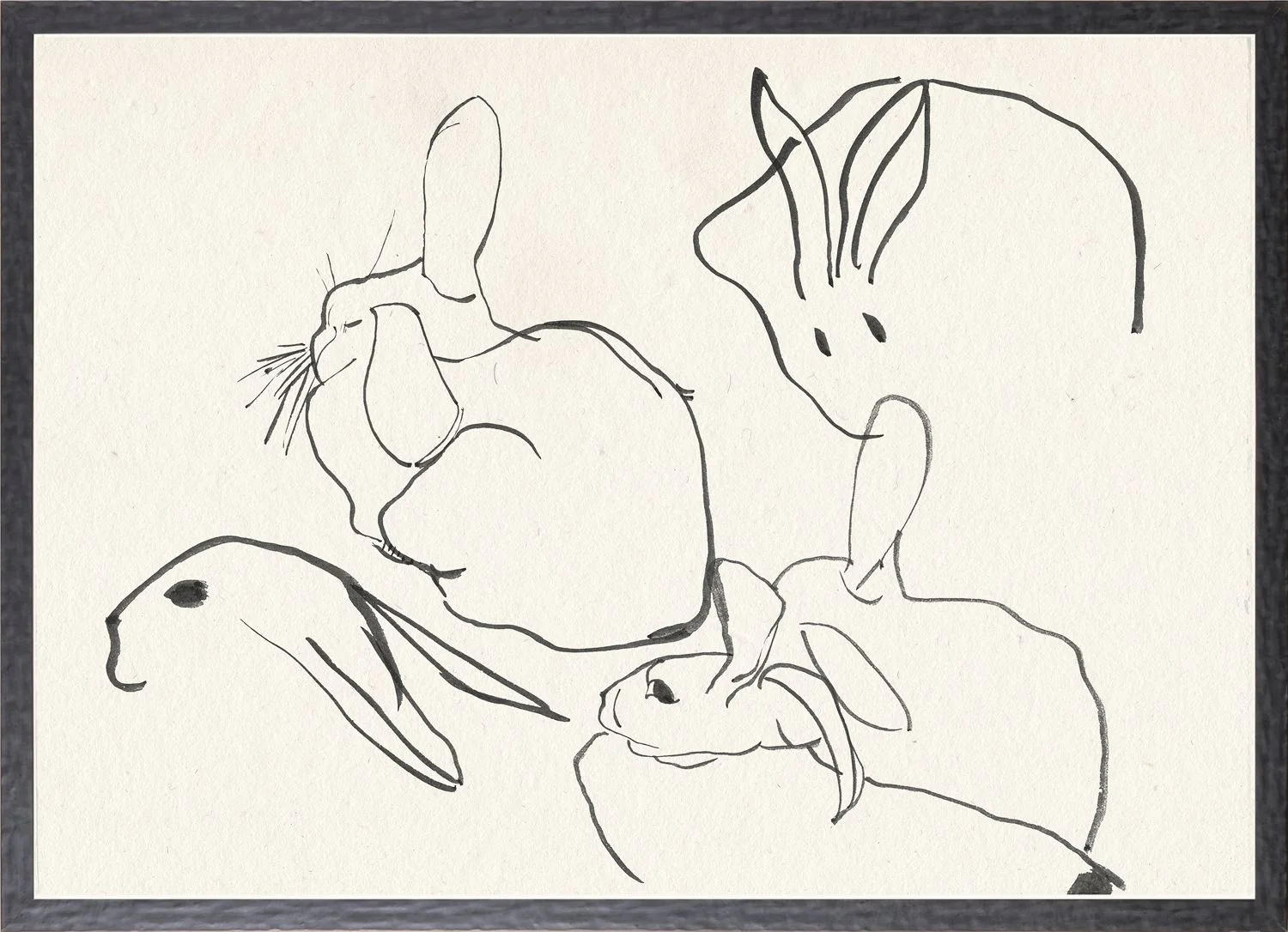 Cachet Rabbits - Image 3