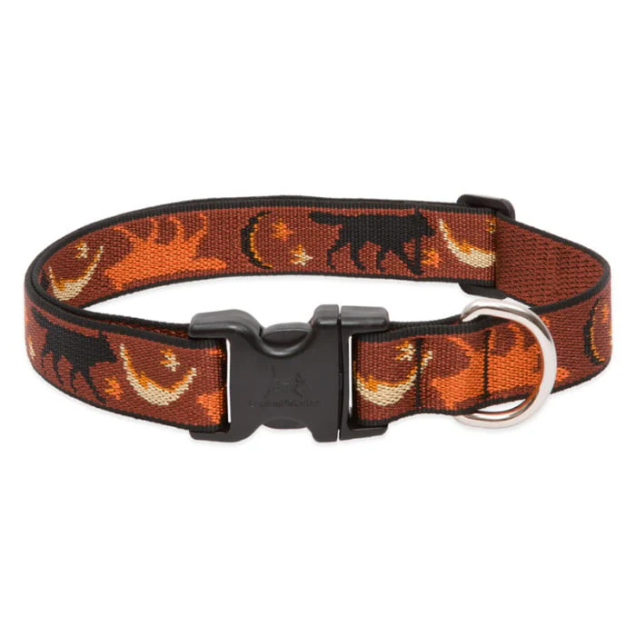Lupine Pet Dog 1 In Wide 12-20 In Adjustable Collar Original Designs Shadow Hunter - Image 1