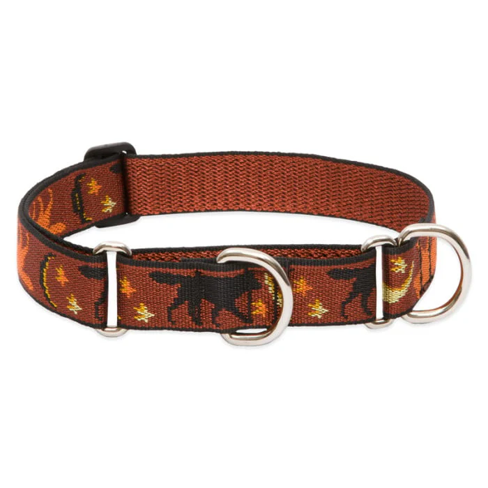 Lupine Pet Dog 1 In Wide 15-22 In Martingale Collar Original Designs Shadow Hunter - Image 1