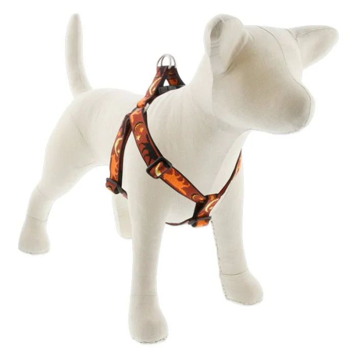 Lupine Pet Dog 1 In Wide 24-38 In Step  In Harness Original Designs Shadow Hunter - Image 1