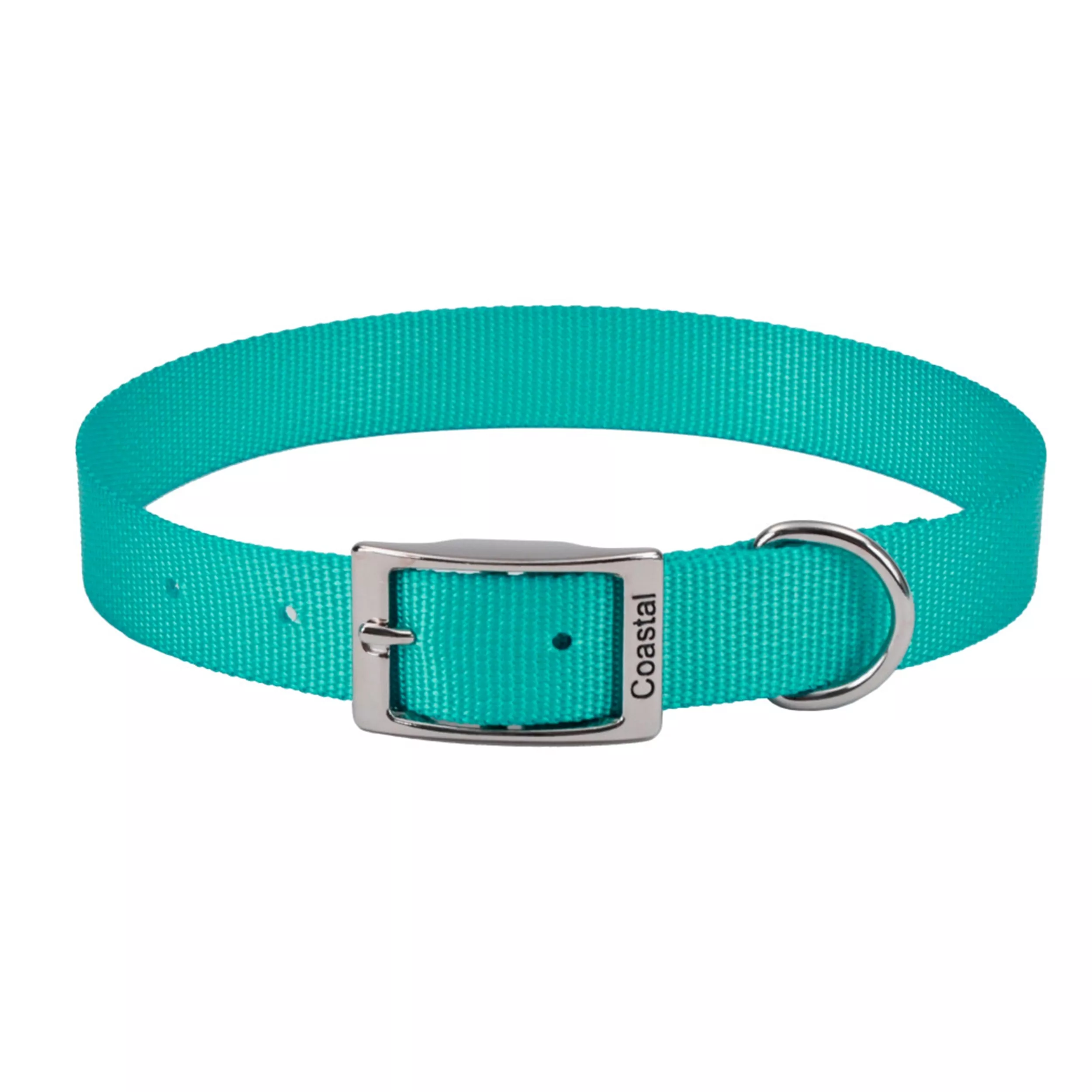 Coastal Single Ply 5/8in Wide 12in Dog Collar Teal - Image 1