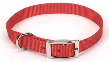 Coastal 3/4 inch x 16 inch Collar Red - Image 1