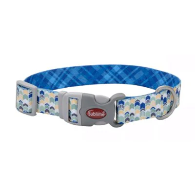 Coastal Sublime 1in Wide 12-18in Adjustable Dog Collar Blue Chevrons - Image 1
