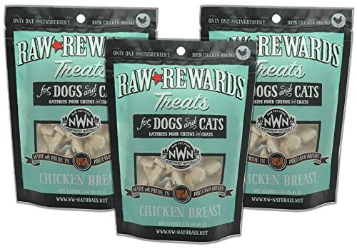Northwest Natural Raw Rewards Freeze-Dried Chicken Breast 3 Ounces - Image 1