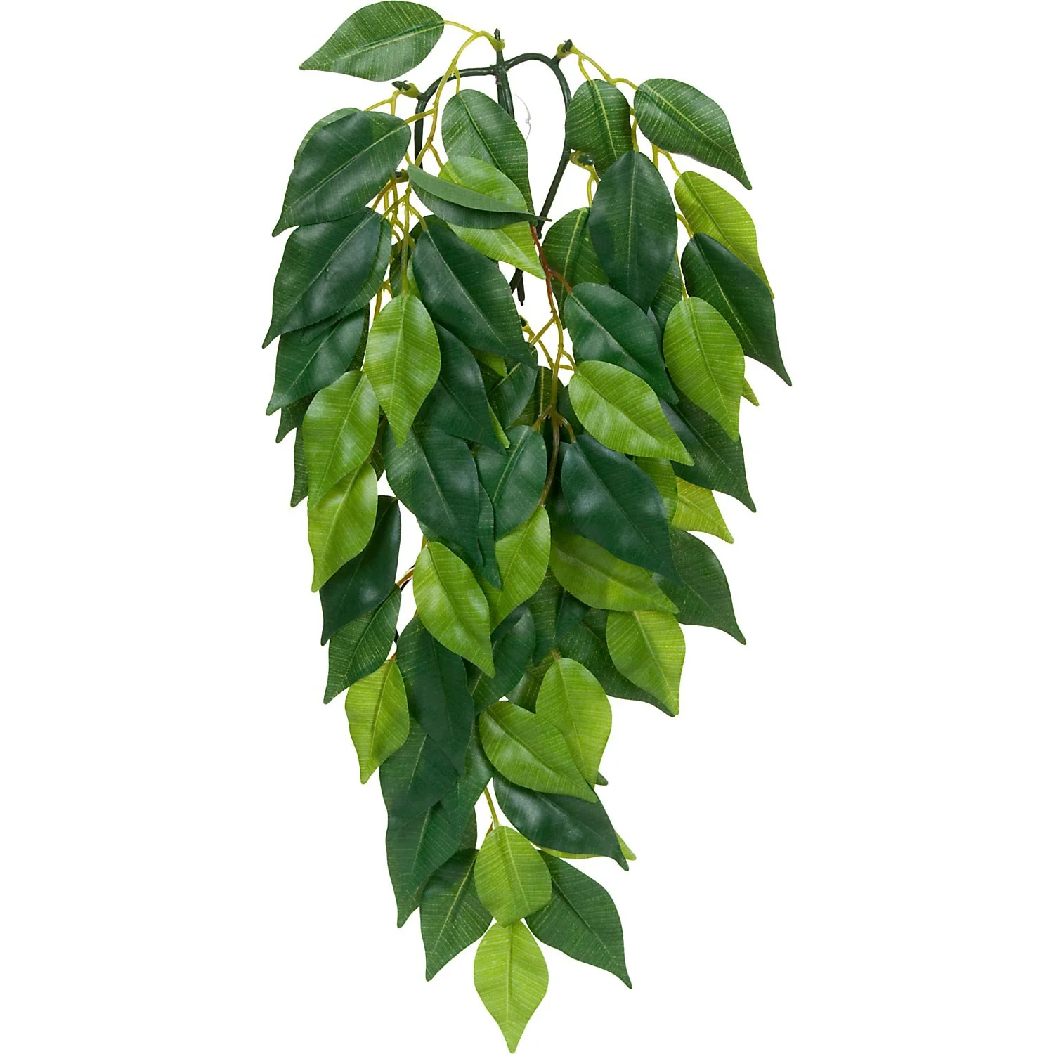 Exo Terra Ficus (Small) - Image 1