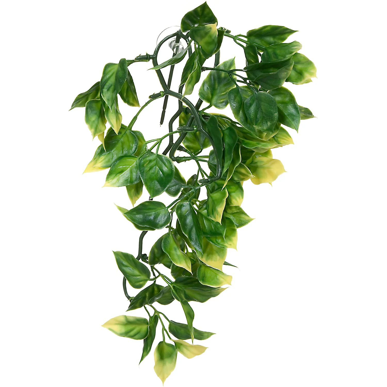 Exo Terra Plastic Terrarium Plant  Small  Amapallo - Image 1