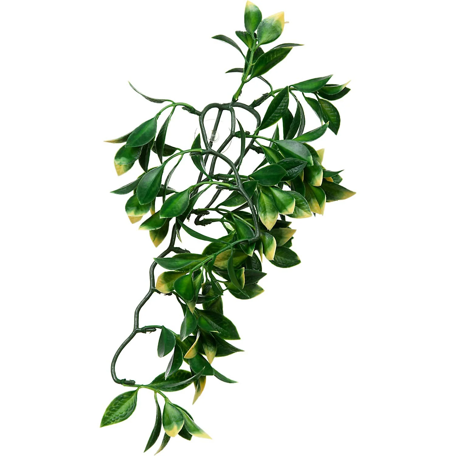 Exo Terra Plastic Terrarium Plant  Small  Mandarin - Image 1