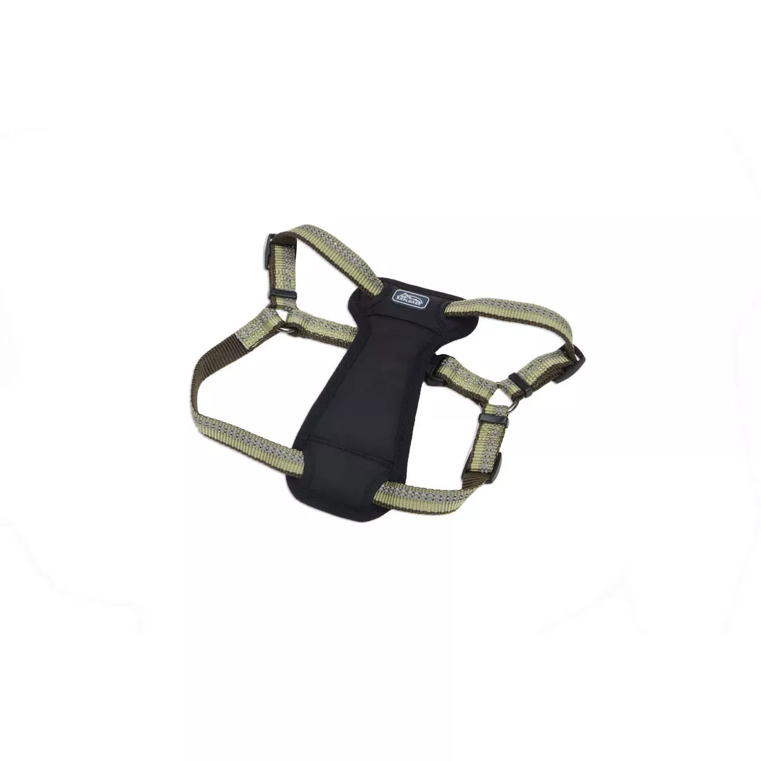 Coastal K9 Explorer Reflective Adjustable 1in Wide 20-30in Padded Dog Harness Fern - Image 1