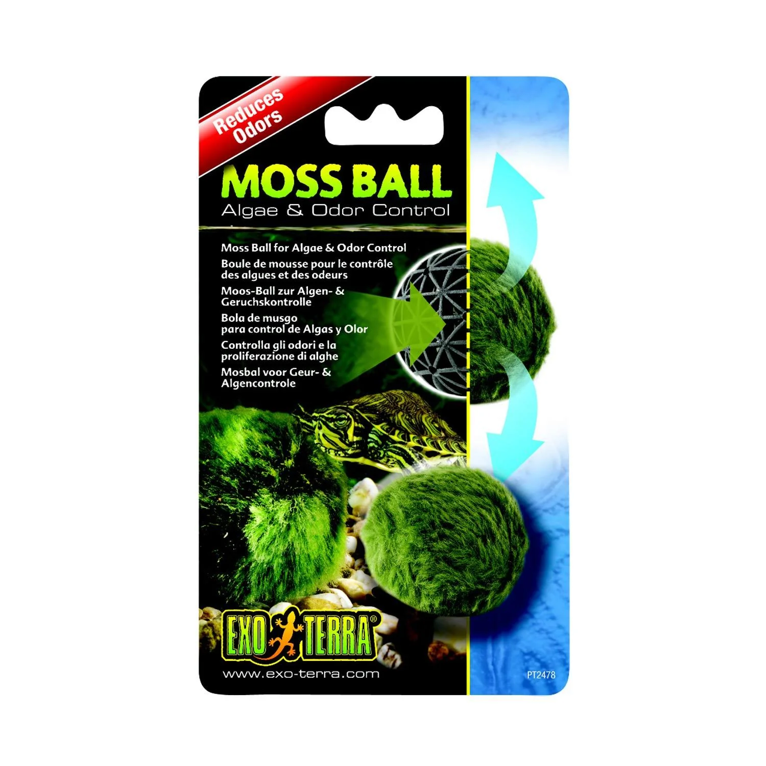 Exo Terra Moss Ball - Image 1