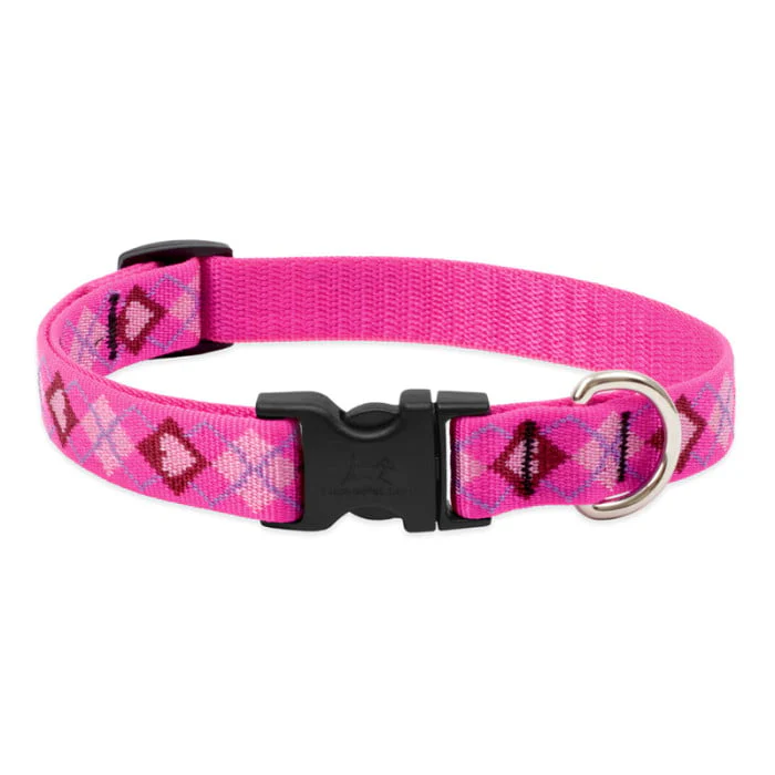 Lupine Pet Dog 2/4 In Wide 9-14 In Adjustable Collar Original Designs Puppy Love - Image 1