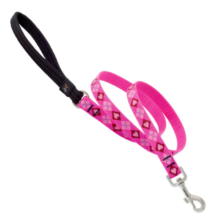Lupine Pet Dog 6 Ft Long 3/4 In Leash Original Designs Puppy Love - Image 1