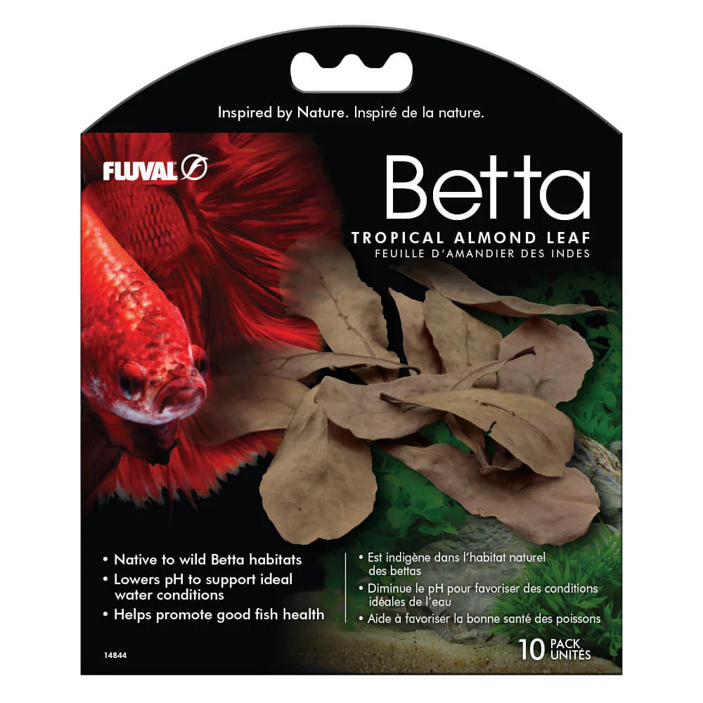 Fluval Betta Tropical Almond Leaves 10 pk - Image 1