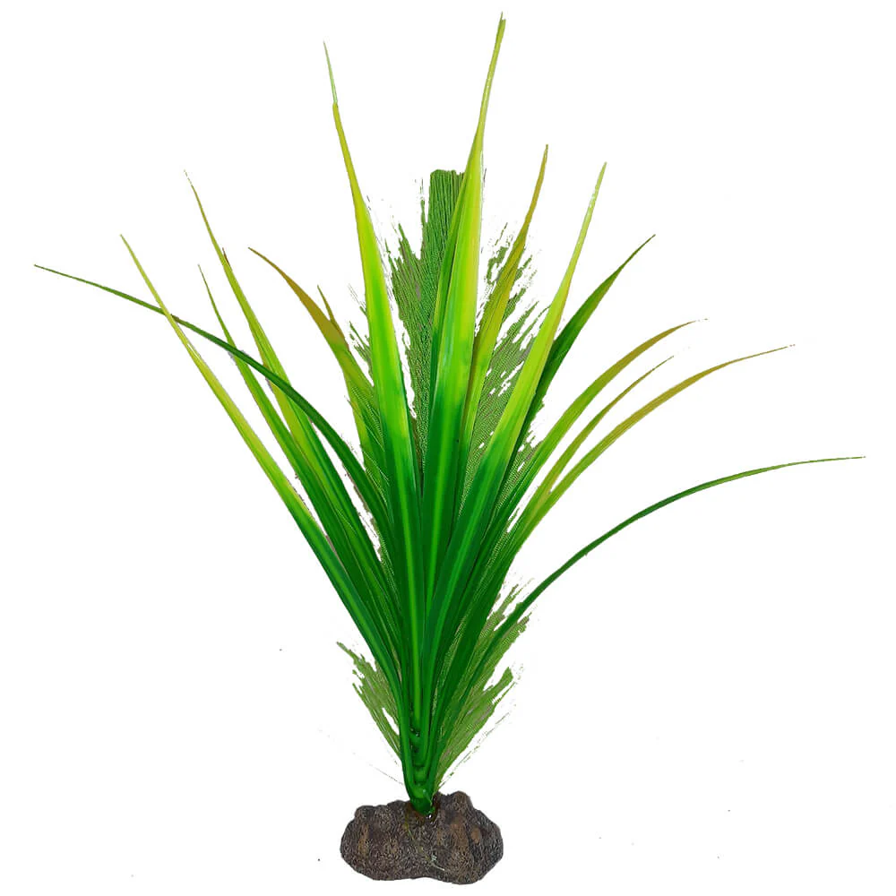 Fluval Betta Premium Yellow Parrot Plant, 8 in - Image 1