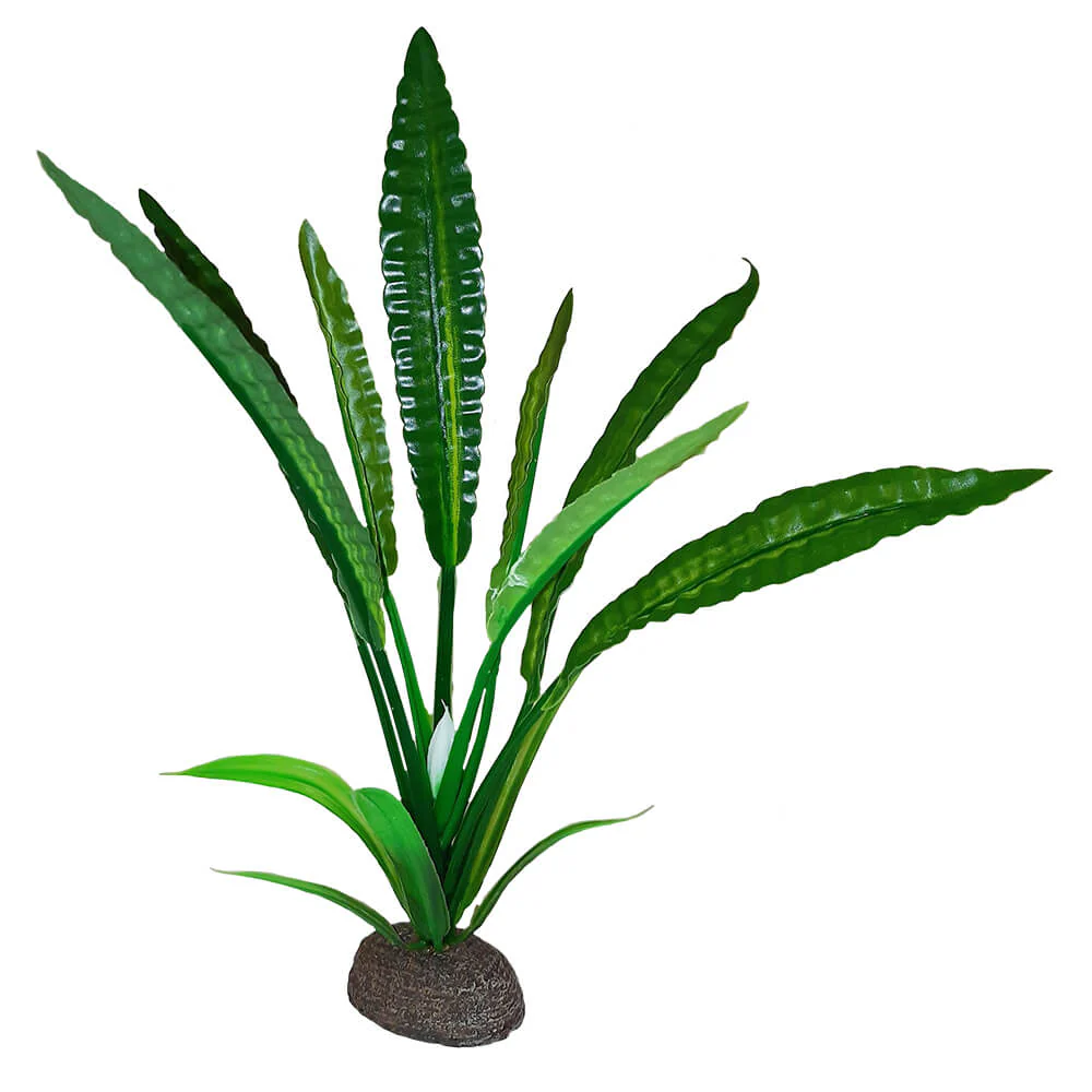 Fluval Betta Premium Water Trumpet Plant, 8 in - Image 1