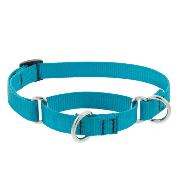 Lupine Pet Dog 3/4 In Wide 14-20 In Martingale Collar Basic Aqua - Image 1