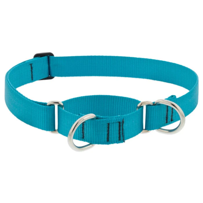 Lupine Pet Dog 1 In Wide 19-27 In Martingale Collar Basic Aqua - Image 1
