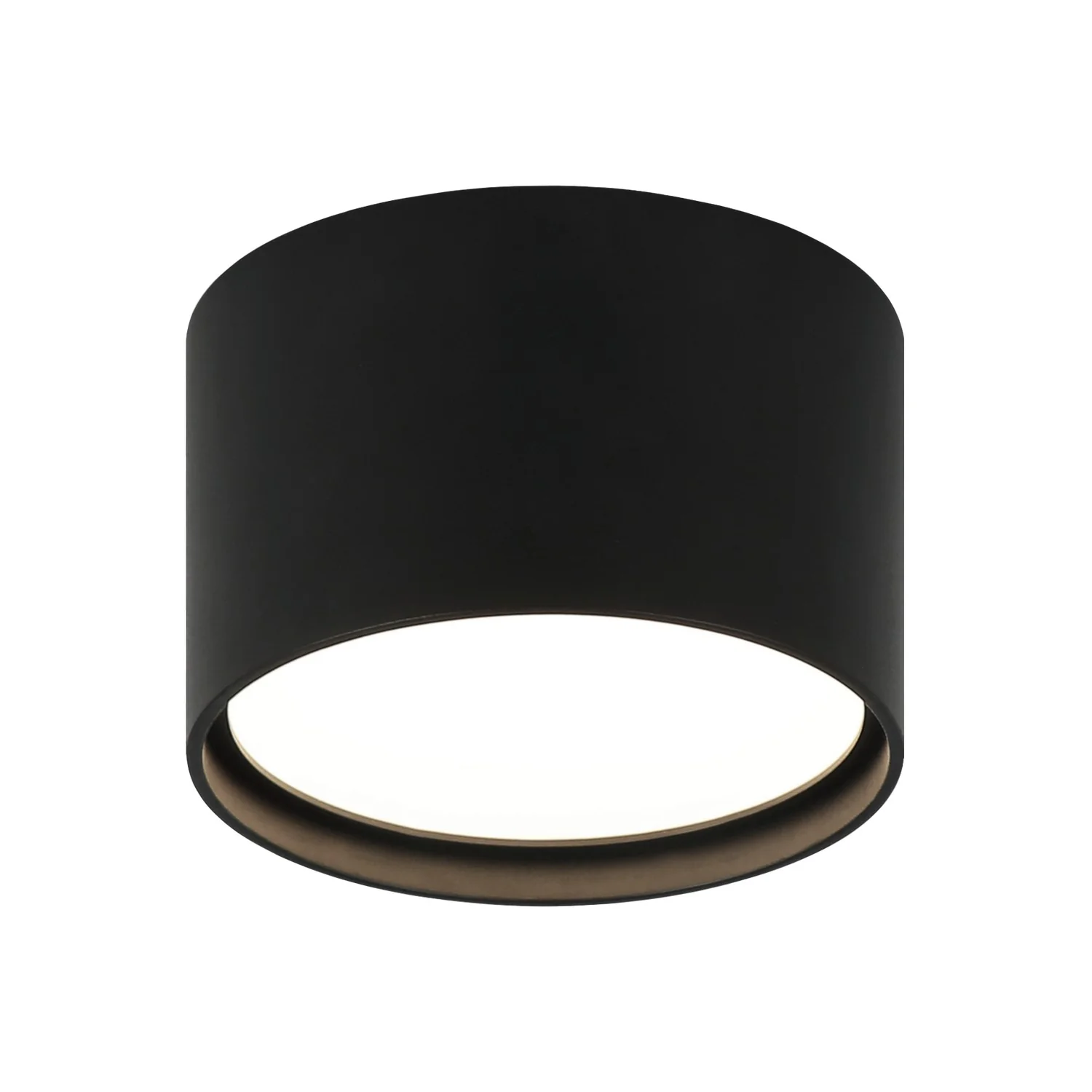 Caravon Ceiling Mount - Image 1