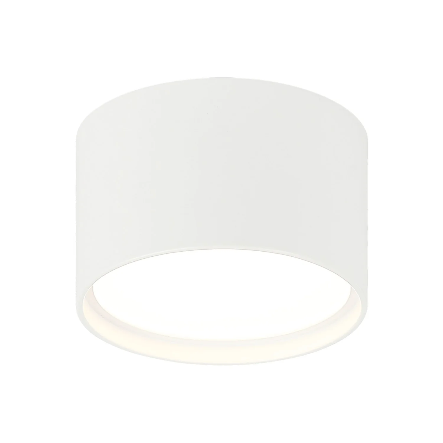 Caravon Ceiling Mount - Image 2