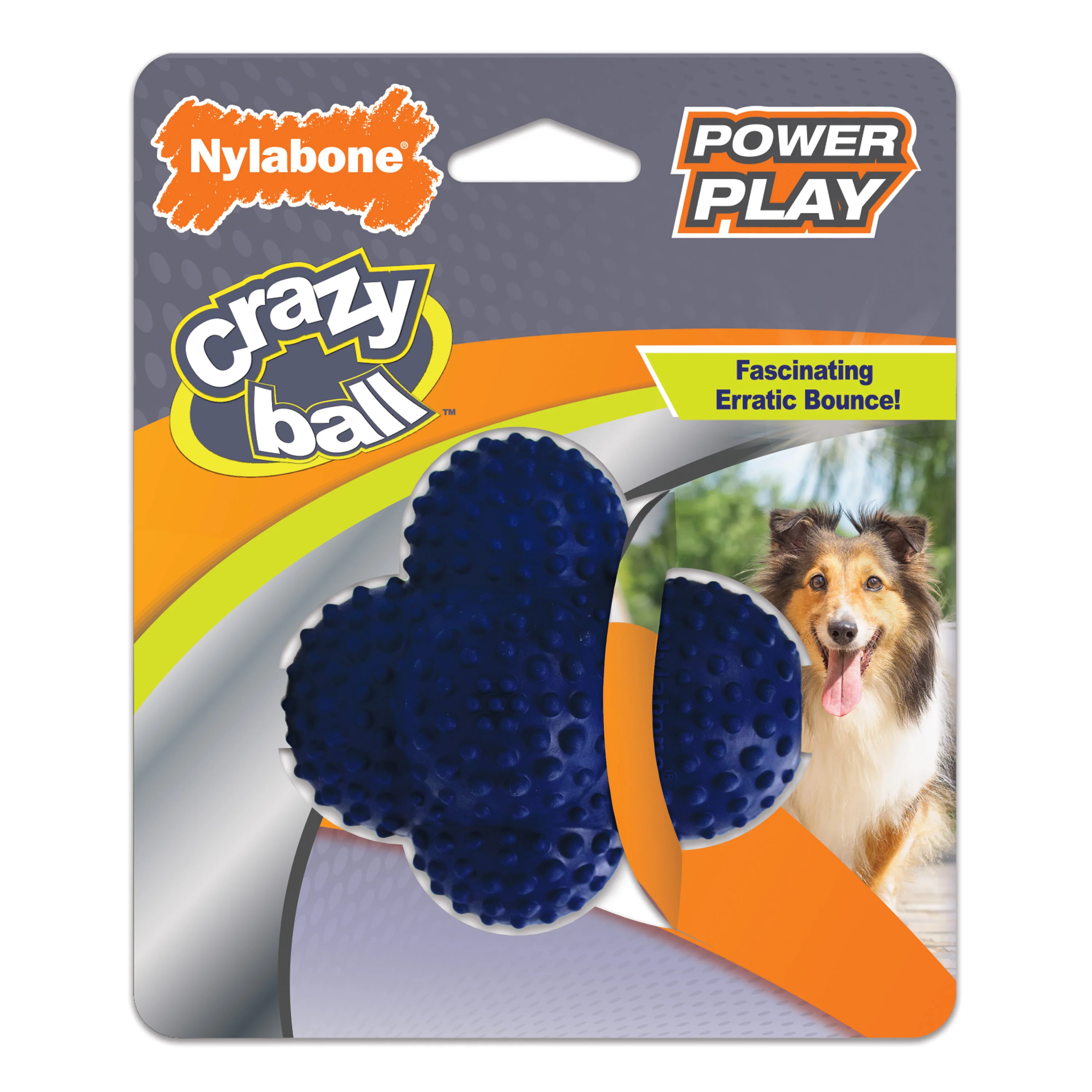 Nylabone Power Play Ball for Dogs Crazy Ball - Image 1