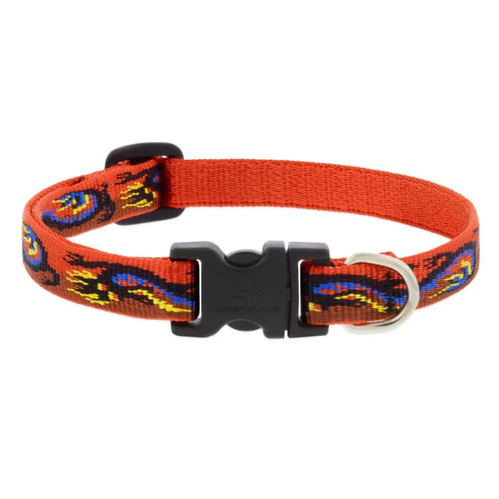 Lupine Pet Dog 1 In Wide 16-28 In Adjustable Collar Microbatch Lucky Dragon - Image 1