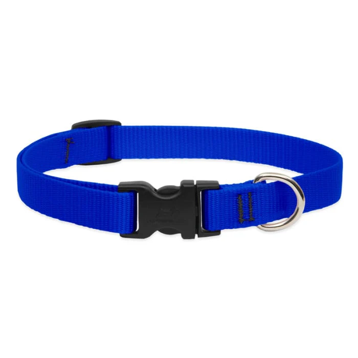 Lupine Pet Dog 3/4 In Wide 13-22 In Adjustible Collar Basic Blue - Image 1