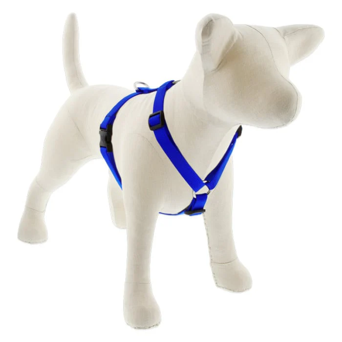 Lupine Pet Dog 3/4 In 20-32 In Roman Harness Basics Blue - Image 1