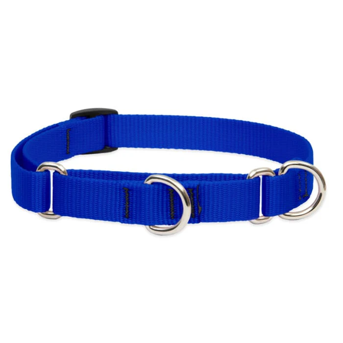 Lupine Pet Dog 3/4 In Wide 14-20 In Martingale Collar Basic Blue - Image 1
