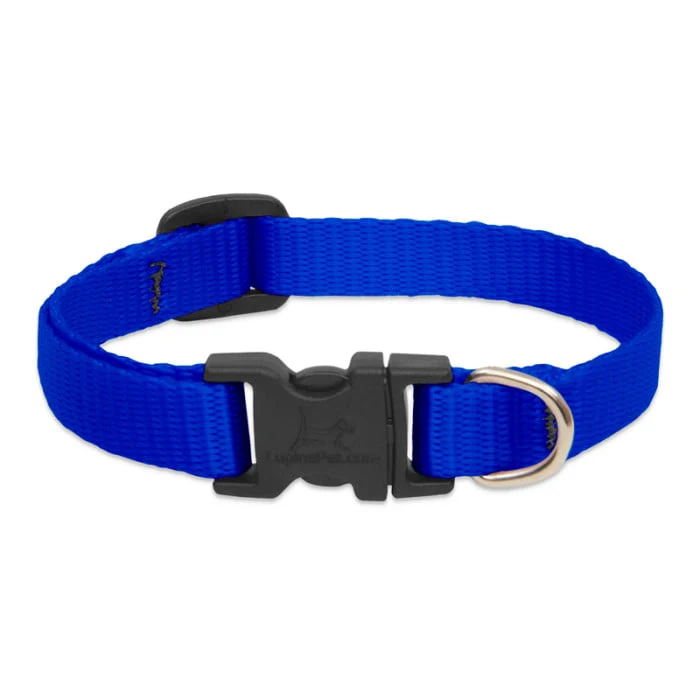Lupine Pet Dog 2/4 In Wide 9-14 In Adjustable Collar Basic Blue - Image 1