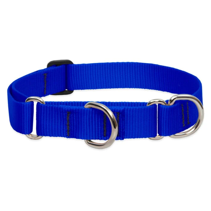 Lupine Pet Dog 1 In Wide 19-27 In Martingale Collar Basic Blue - Image 1