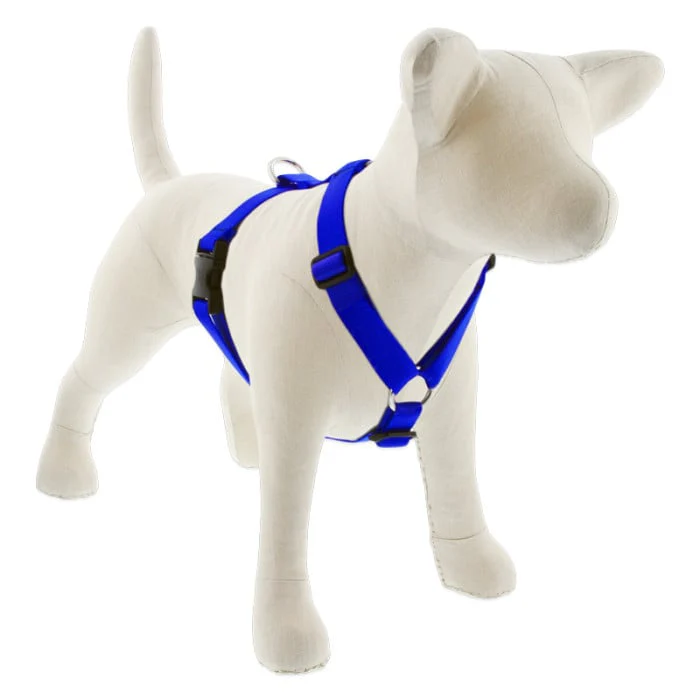 Lupine Pet Dog 1 In Wide 24-38 In Roman Harness Basics Blue - Image 1