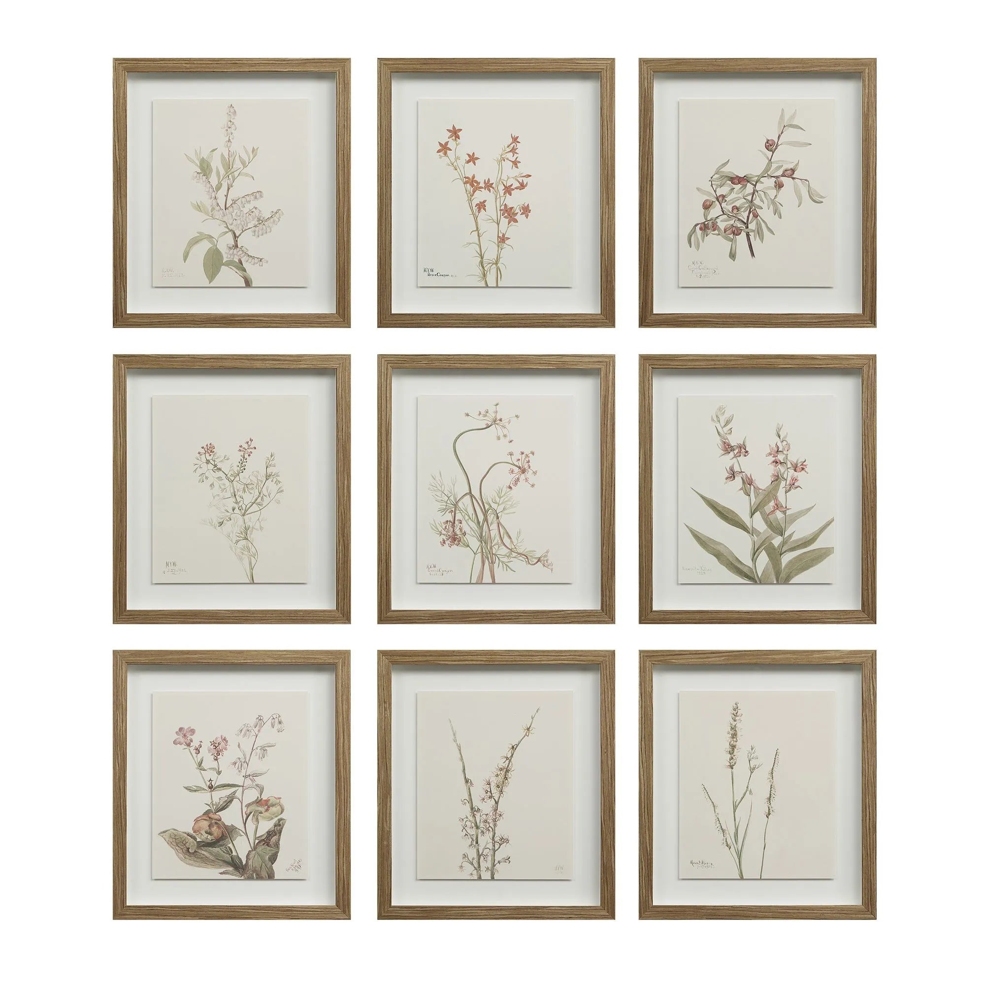 Botanical Wall Art, Set of 9