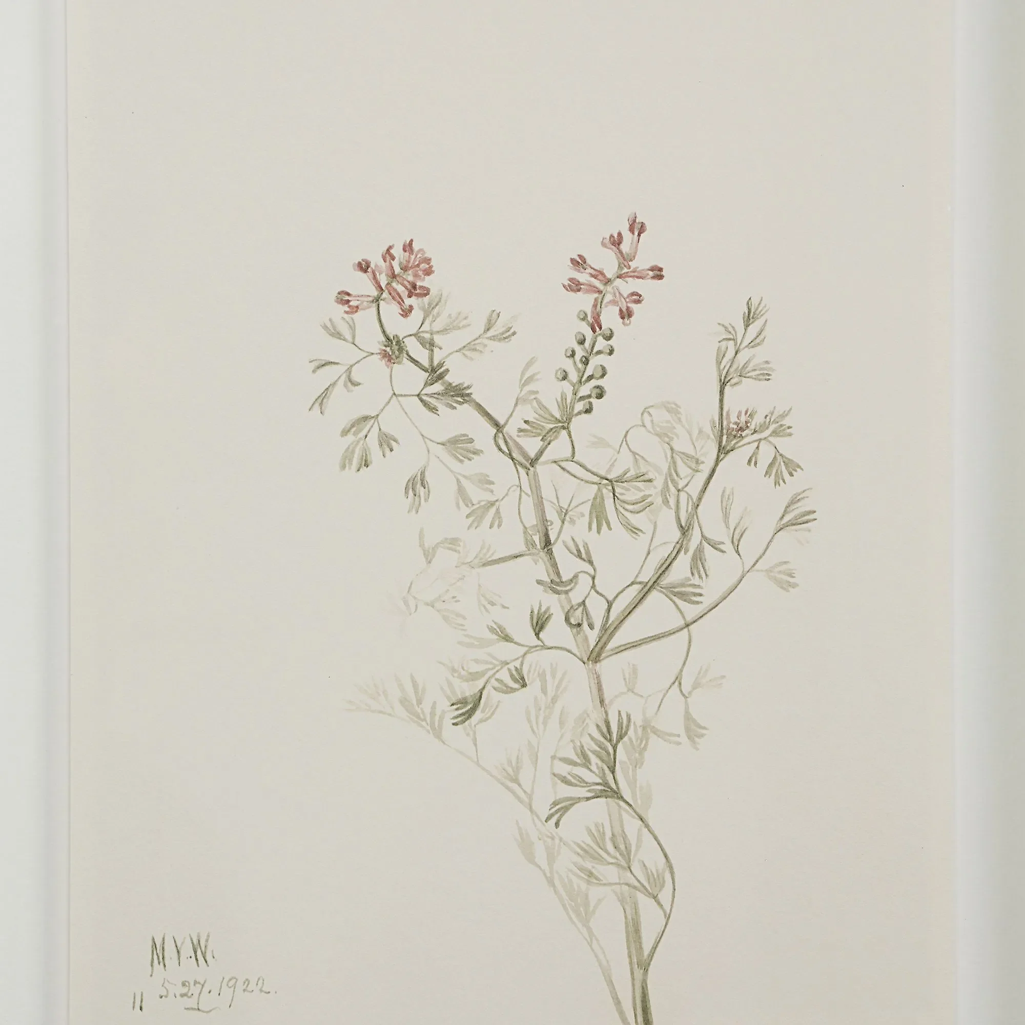 Botanical Wall Art, Set of 9 - Image 2