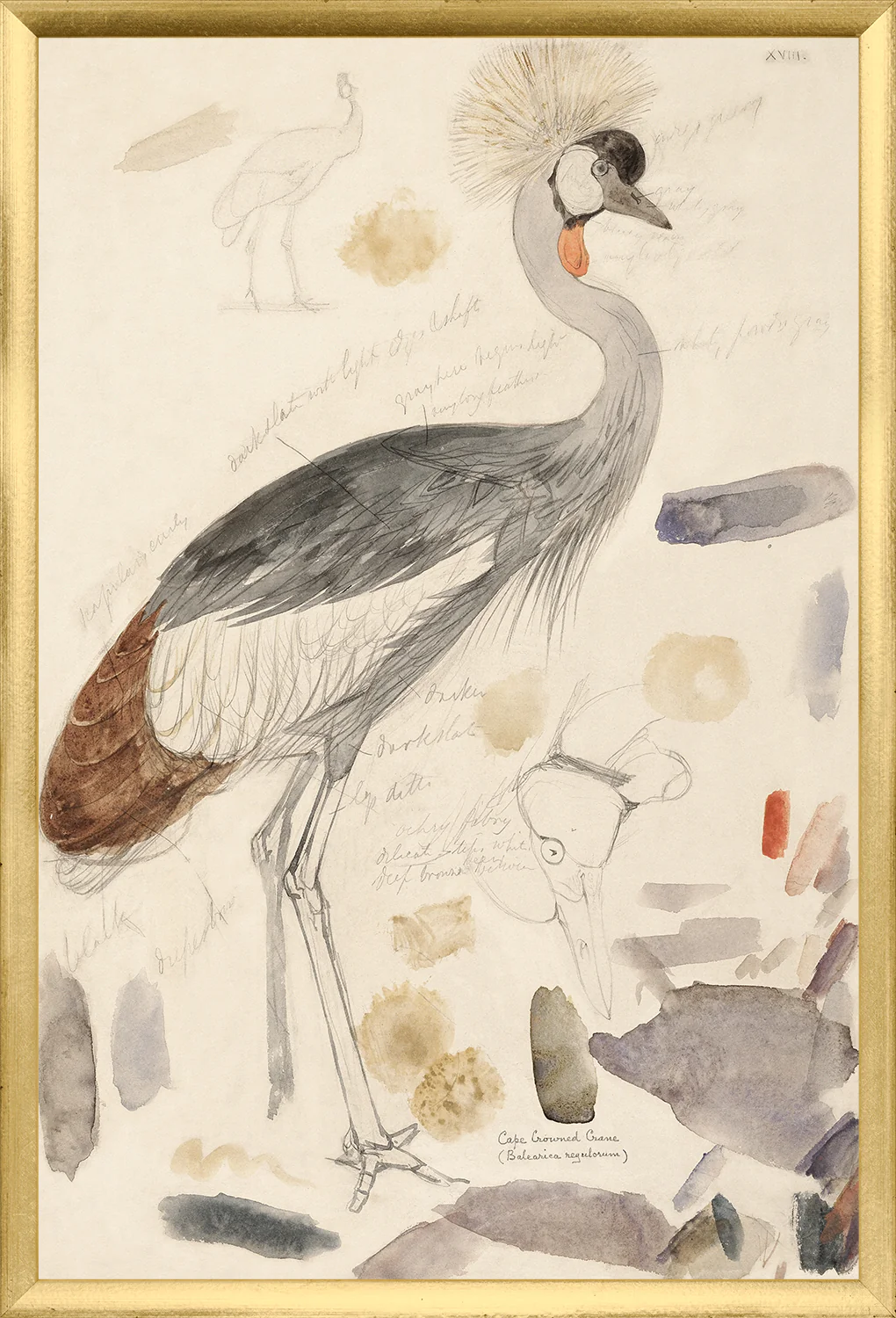 Edward Lear, Crane - Image 2