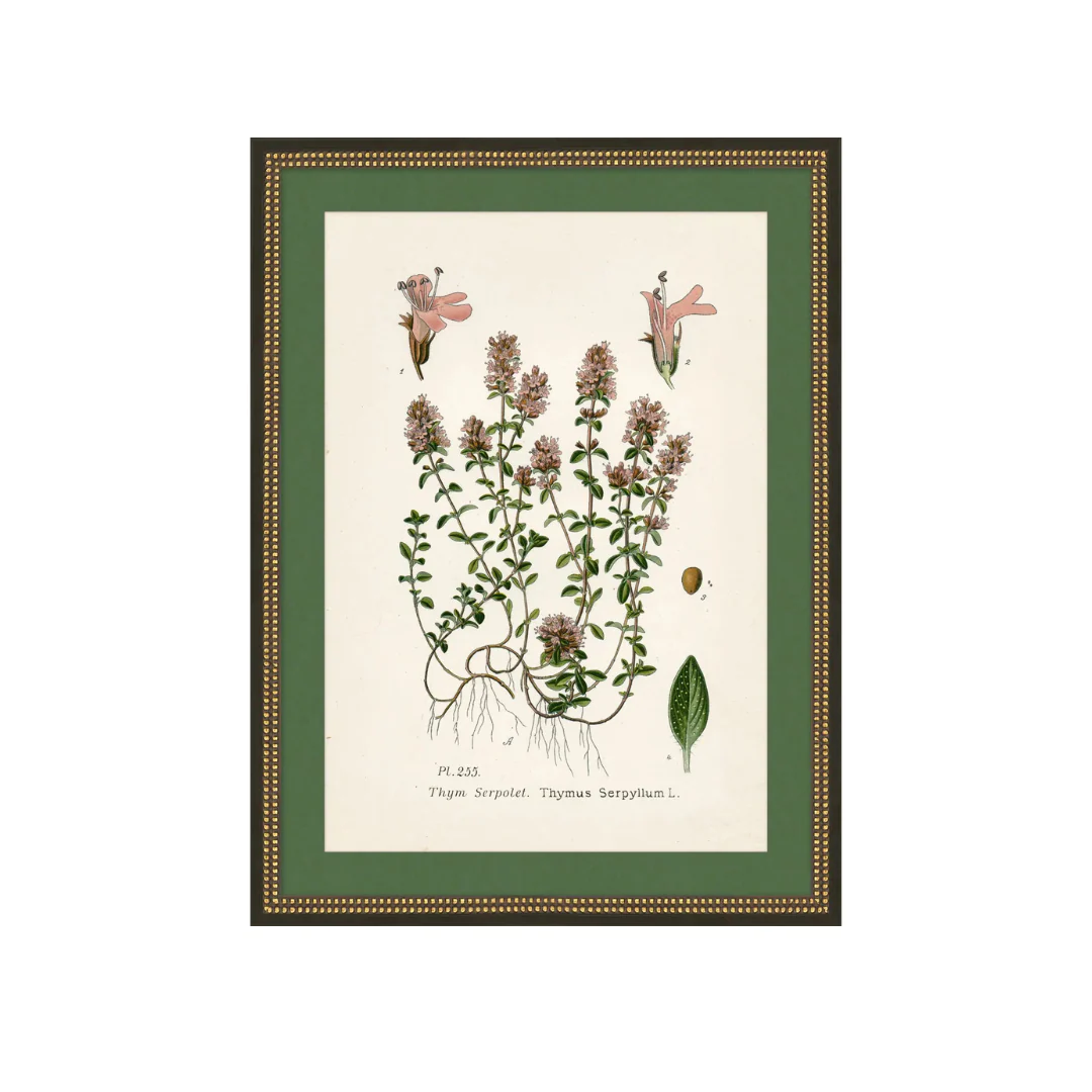 Wildflower Study II - Image 1