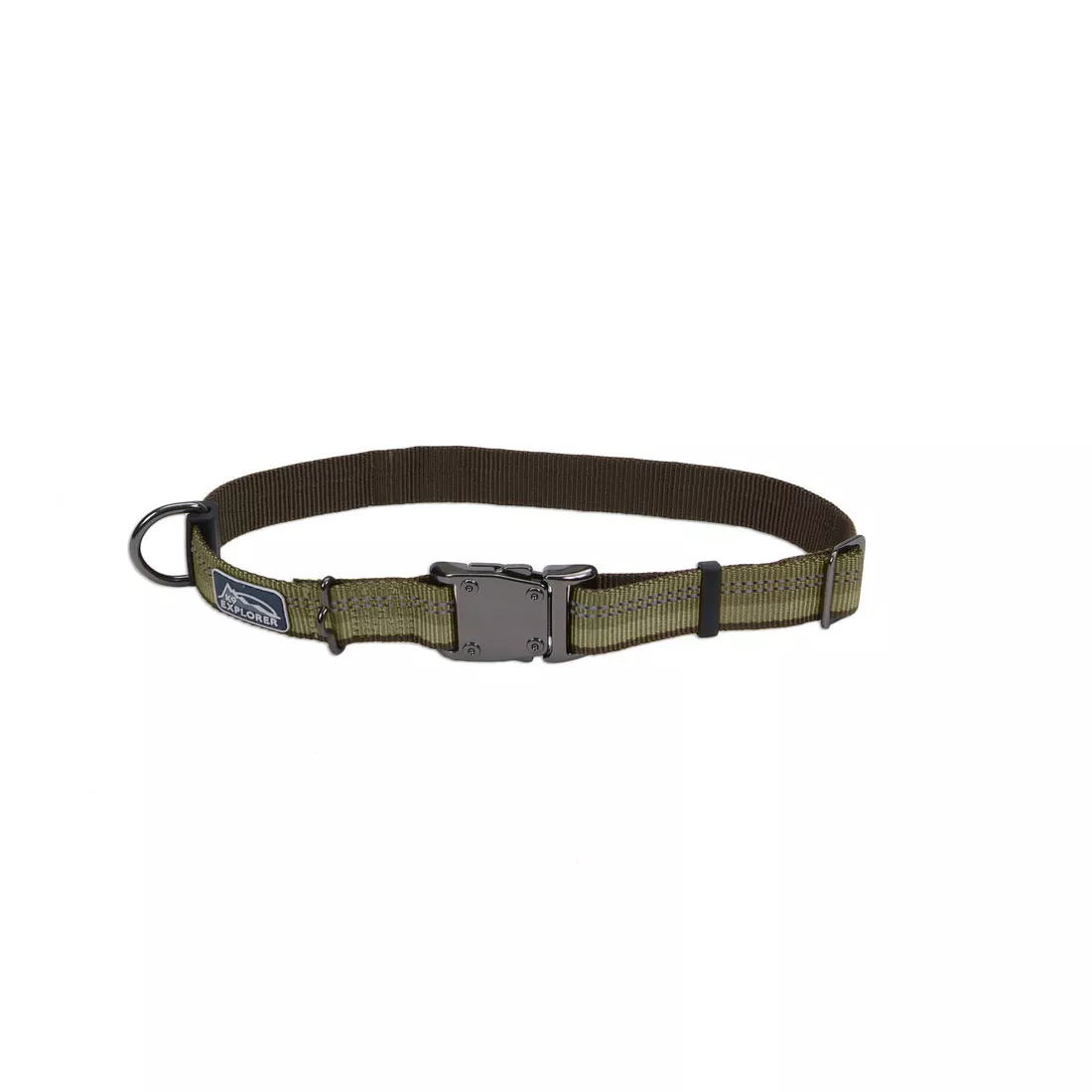 Coastal K9 Explorer 1in Wide 12-18in Reflective Adjustable Dog Collar Fern - Image 1