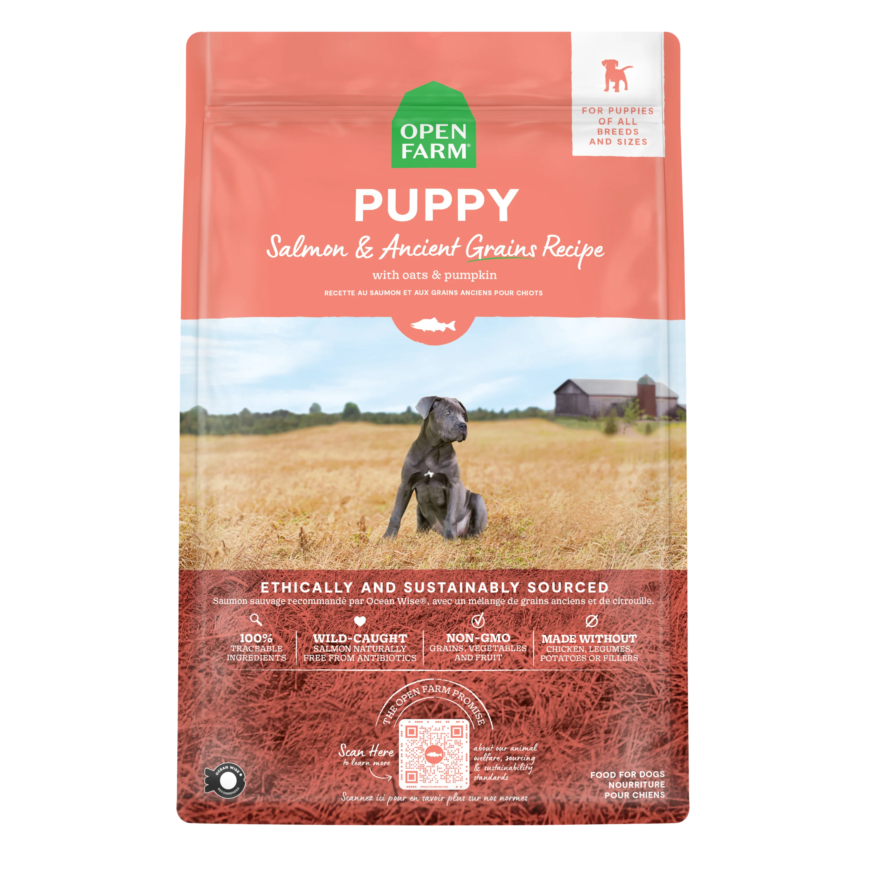 Open Farm Puppy Salmon & Ancient Grains Recipe For Dogs 22lb Bag