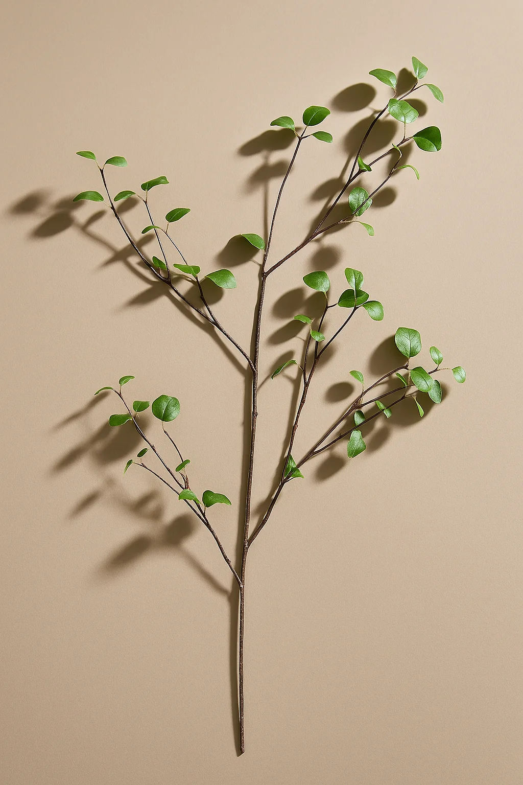 61″ Bay Leaf Spray