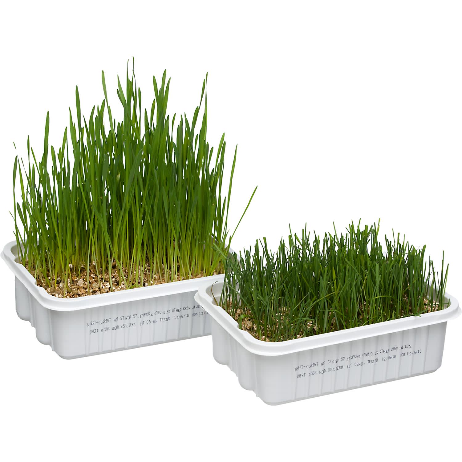 Stewart Pro Cat Grass Plus  5.25oz - Image 1