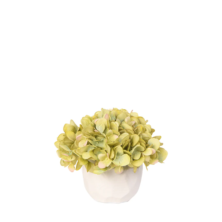 D&W Silks Green Hydrangea in Small White Flintstone Planter - 217018 - Image 1