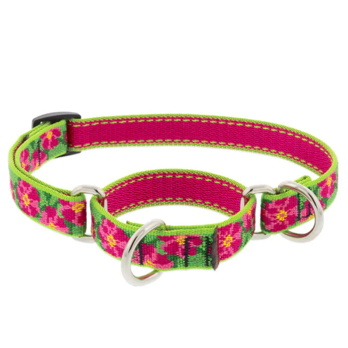 Lupine Pet Dog 1 In Wide 19-27 In Martingale Collar Original Designs Petunias - Image 1