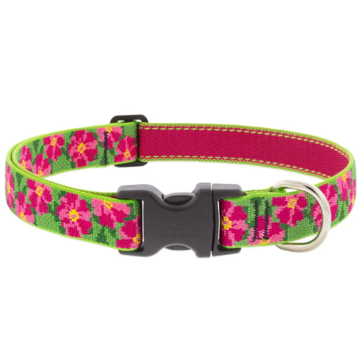 Lupine Pet Dog 1 In Wide 12-20 In Adjustable Collar Original Designs Petunias - Image 1