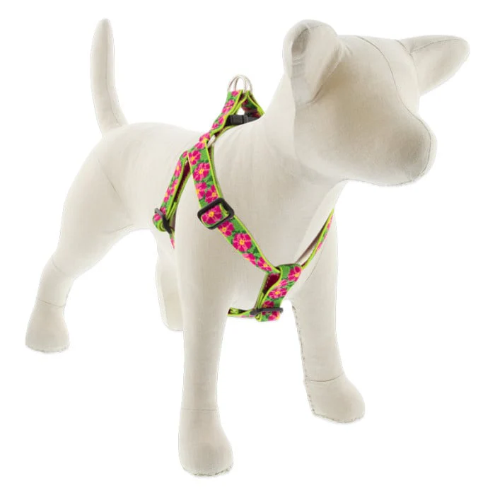 Lupine Pet Dog 1 In Wide 24-38 In Step  In Harness Original Designs Petunias - Image 1