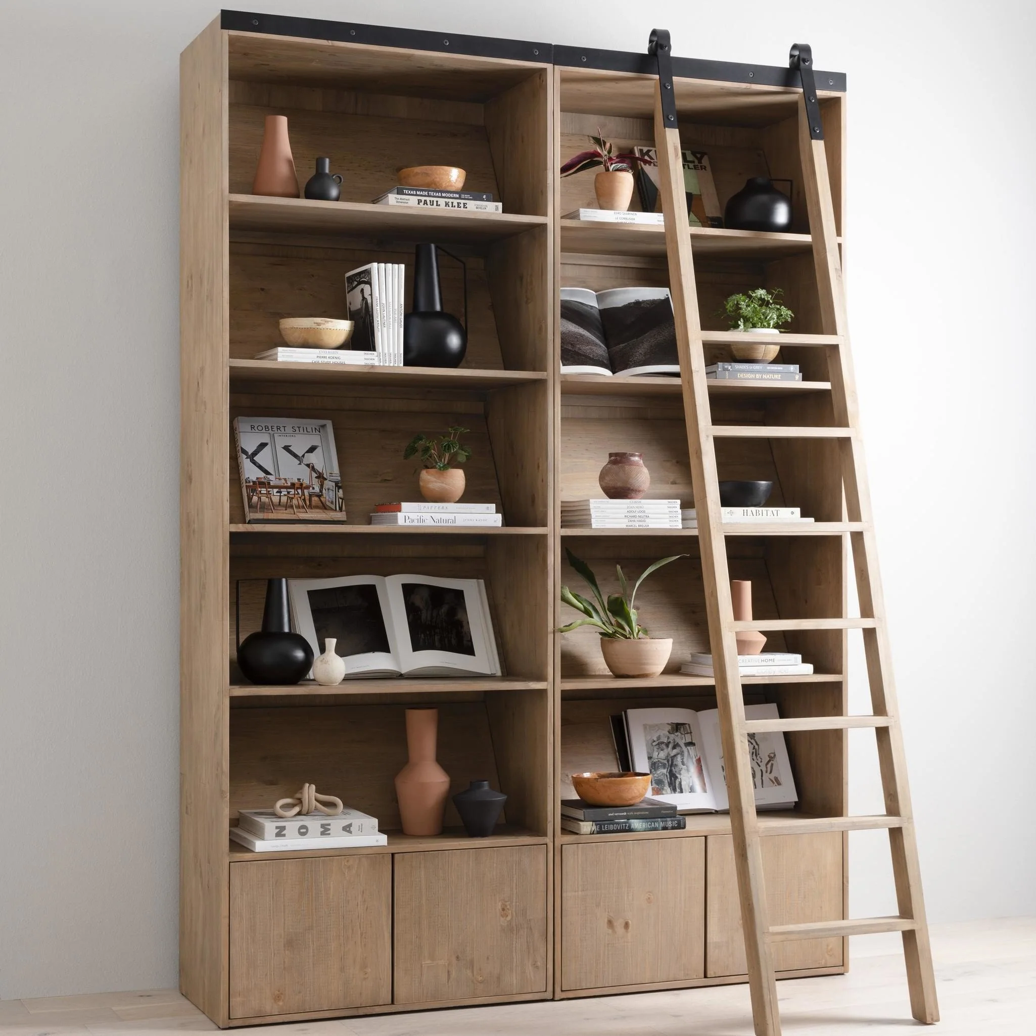 Ladder Bane Bookshelf - Image 2
