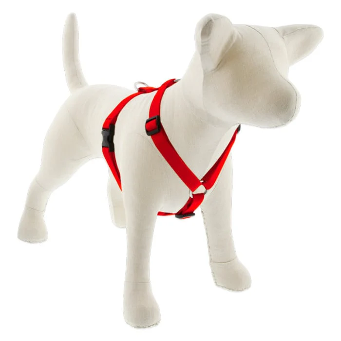 Lupine Pet Dog 3/4 In Wide 12-20 In Roman Harness Basics Red - Image 1