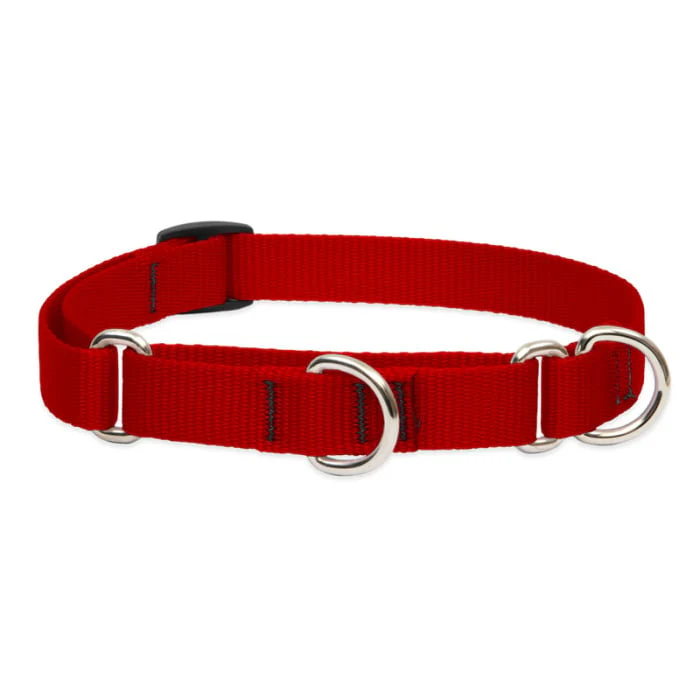 Lupine Pet Dog 3/4 In Wide 10-14 In Martingale Collar Basics Red - Image 1