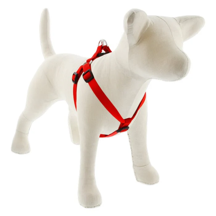 Lupine Pet Dog 3/4 In Wide 15-21 In Step  In Harness Basics Red - Image 1